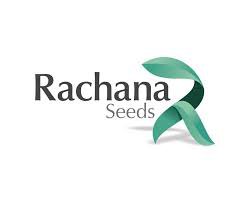 Rachna